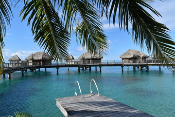 Tropical water huts, bungalows in Bora Bora Tahiti idyllic honeymoon vacation with palm tree leaves