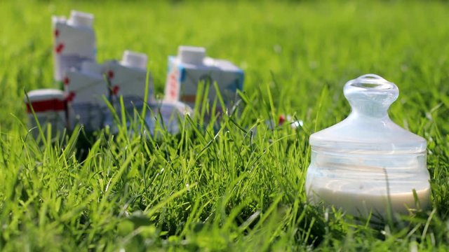 On a young green grass is a mug of milk, a light wind stirs the grass. Products from natural milk. Futa for advertising of dairy products.