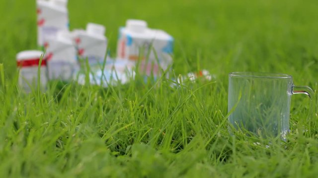 On a young green grass is a mug of milk, a light wind stirs the grass. Products from natural milk. Futa for advertising of dairy products.