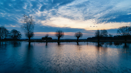 Wierzby z Doliny Narwi © podlaski49