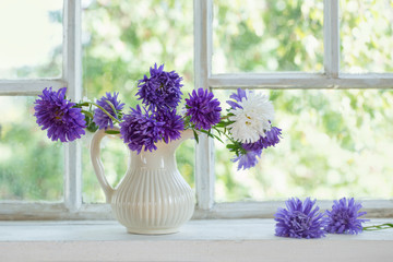 purple asters in  jug on  windowsill