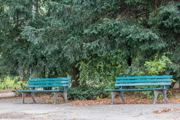 Bench in the park