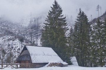 mgła górach, niebezpieczne wędrówki, wysokie świerki w Tatrach, stara chata ze stosem drewna opałowego, miejsce odpoczynku dla turystów