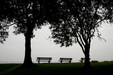 A rustic bench is looking out over the IJsselmeer