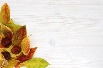 Hintergrund Herbst - Kastanien und bunte Blätter auf rustikalem Holz mit Textfreiraum