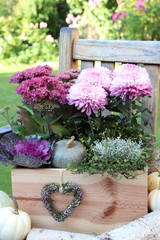 wooden box with autumn flowers in purple and pumpkin