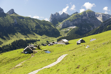Fototapeta na wymiar Sommertag auf dem Alpsigel im Alpstein