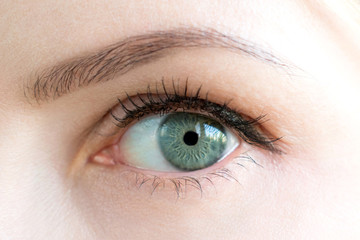 Photo of a beautiful female eye of a green color. Close-up photo