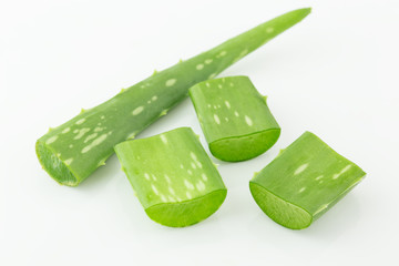 Aloe Vera isolated on a white background