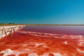 The salty shore. The water looks pink due to a special algae that grows in high levels of salt.
