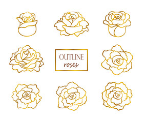 Vector set of outline golden roses, side and top view
