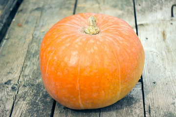  Beautiful pumpkin for halloween On a wooden surface
