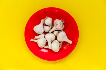 White garlic on a red plate