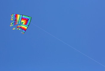 colorful kite flying on the blue sky in summer