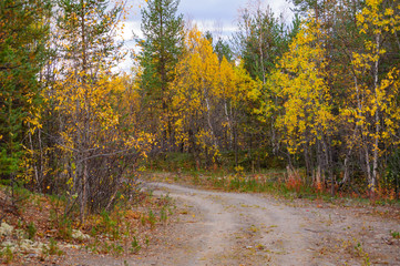 Obraz premium Autumn