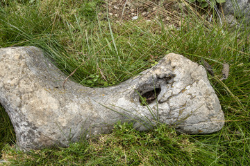 Obraz premium Large rock on a field in Bucegi Mountains, Bucegi National Park, Romania