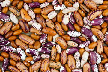 Haricot bean close background with high resolution