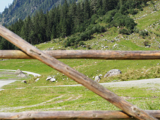 Fototapeta na wymiar Wood fence on pasture