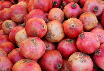 Fototapeta na wymiar background of many red ripe pomegranates