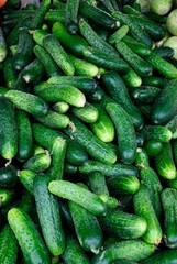 Fresh pickling cucumbers at the farmers market