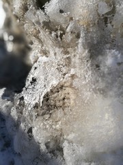 beauty close-up cold temperature day focus foreground frozen 