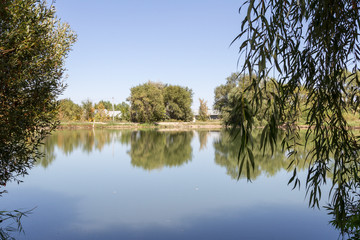 Fototapeta na wymiar beautiful lake with willows designed for fishing