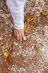 Kinderhand sammelt Kastanien. Child´s hand pick up chestnut.