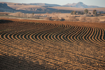 Plowed fields patterns