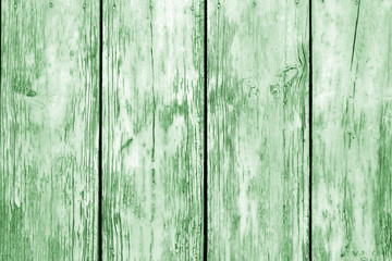 Fototapeta na wymiar Old grunge wooden fence pattern in green tone.