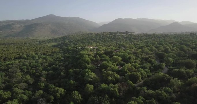 Aerial view of Oak forest in Golan Heights and Mount Hermon