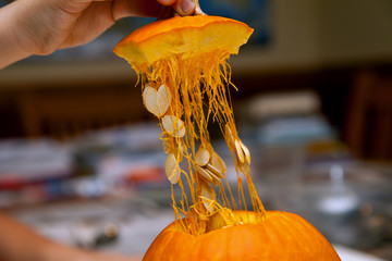 Hand of a Man Lifts the Top Cap Off of a Cut Pumpkin Ready to Scoop Out and Carve