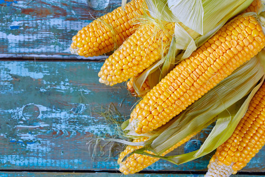 Cob fresh yellow corn lying on a wooden background. Rustic style