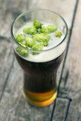  Pinta ale with fresh green English hops Kent Golding wood textere
