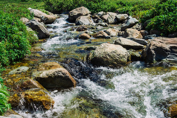 Naklejka na ściany i meble Mountain creek with big boulders near green meadow in sunny day. Clean water stream in fast brook in sunlight. Amazing landscape of Altai nature.