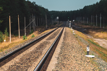 Railway traveling across forest in dusk. Journey on rail track. Poles with wires along rails in sunlight. Green at traffic light. Atmospheric evening landscape with railroad along dirt road.