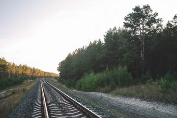 Fototapeta na wymiar Railway traveling in perspective across forest. Journey on rail track. Poles with wires. Rails twisted near tall pine. Atmospheric landscape with railroad along bushes and trees with copy space.