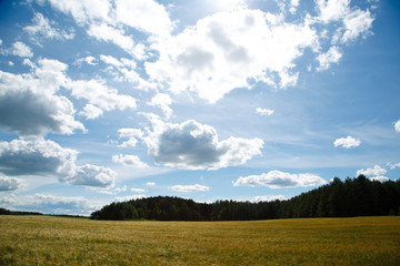 landscape with blue sky and clouds