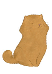 Cute cat