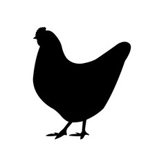 Chicken icon, silhouette, logo on white background