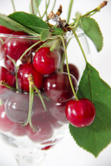  red cherry with green leaves and red beads in a glass on a white background 