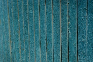 green wooden background of painted fence boards