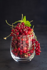 Fresh red currant berries in glass on dark background, vertical composition