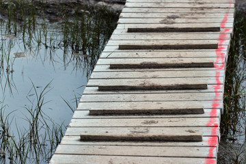 Wooden planks road across marshy ground