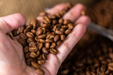 Coffee beans. On a wooden background rotation