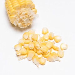 sweet yellow corn