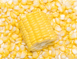 sweet yellow corn