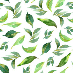 Watercolor seamless pattern of green leaves on white background
