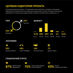 Targeted audience of online project. Infographics. In Russian. Yellow on black.