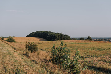 Fototapeta na wymiar scenic view with rural field and trees during daytime