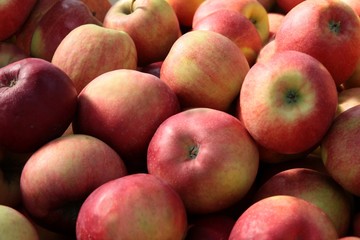 Fototapeta na wymiar red,tasty apples close up